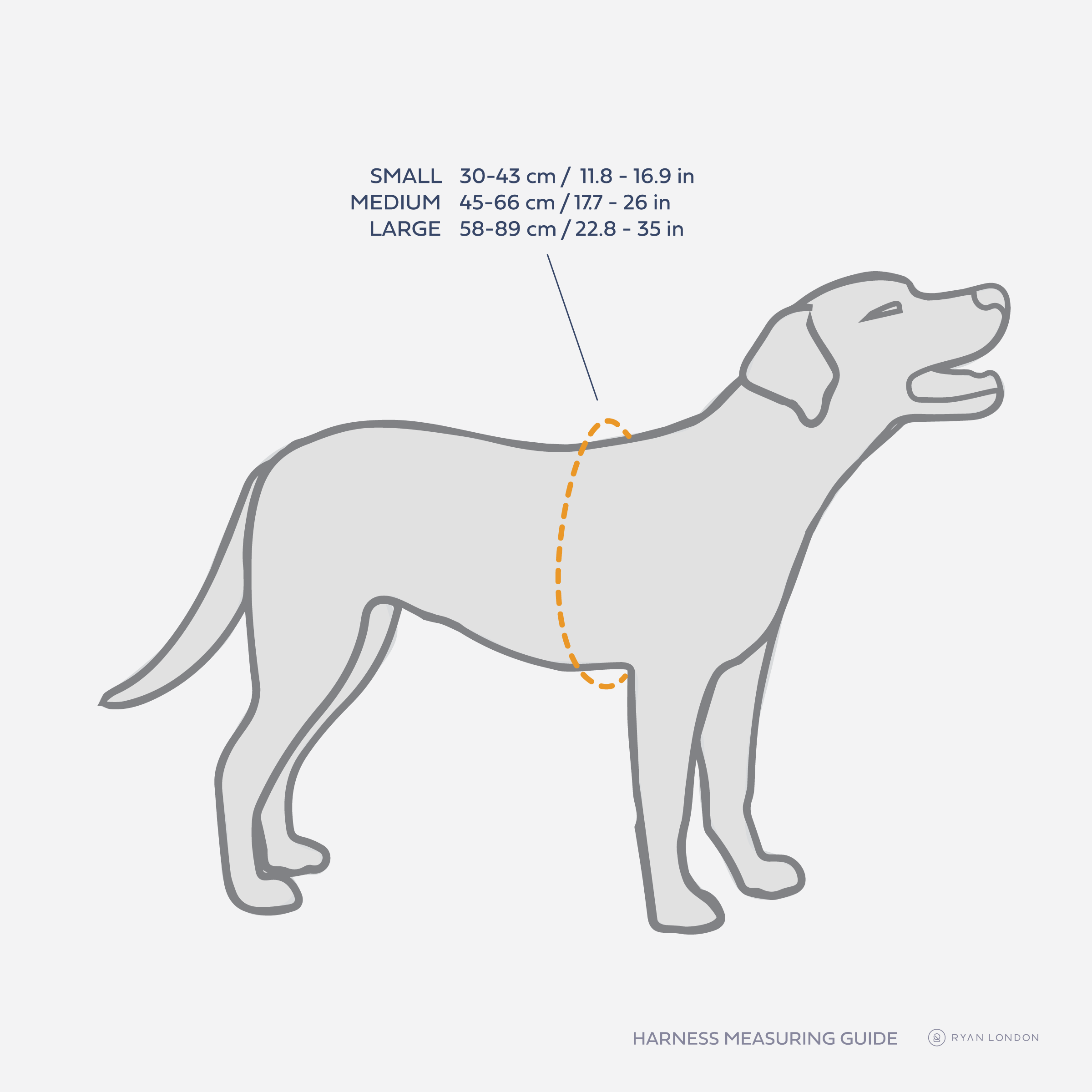 Leather Dog Harness - Light Blue and Off-white - RYAN London
