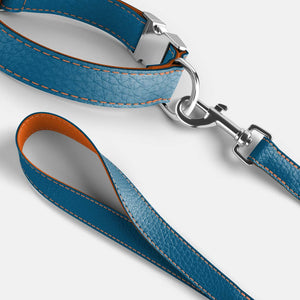Leather Dog Collar - Blue and Orange