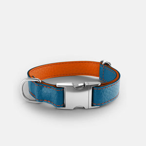 Leather Dog Collar - Blue and Orange