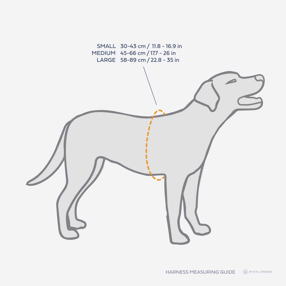 Leather Dog Harness - Yellow and Beige - RYAN London