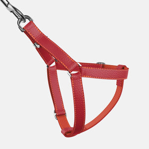 Leather Dog Harness - Red and Coral