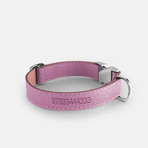 Leather Dog Collar - Purple and Pink