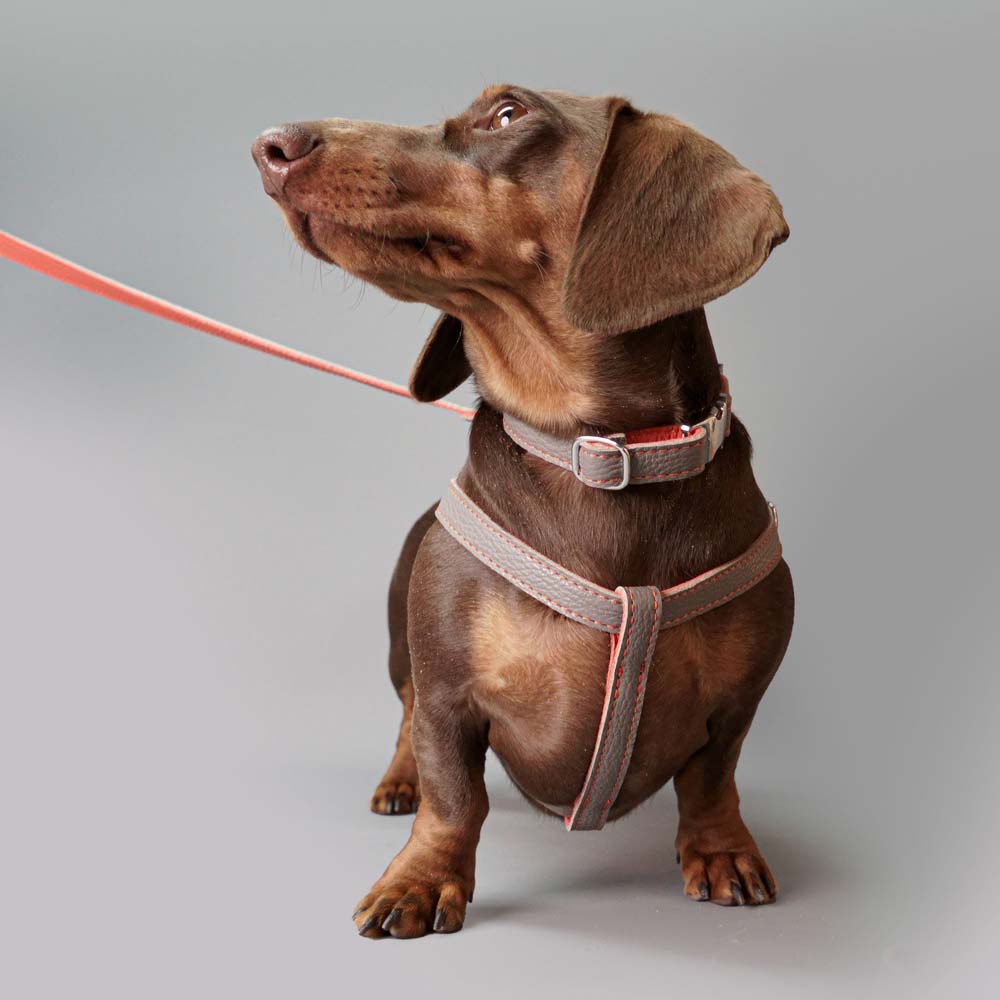 Leather Dog Lead - Grey and Coral - RYAN London