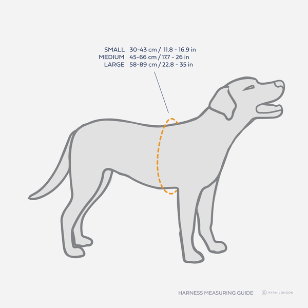 Measure dog 2025 for harness