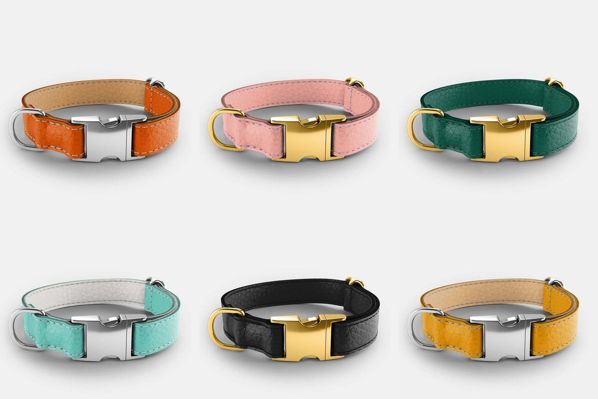 Leather dog collars in Pumpkin Orange and Beige, Pink, Avocado Green, Light Blue and Off-white, Black, and Yellow and Beige