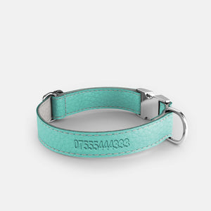 Leather Dog Collar - Light Blue and Off-white