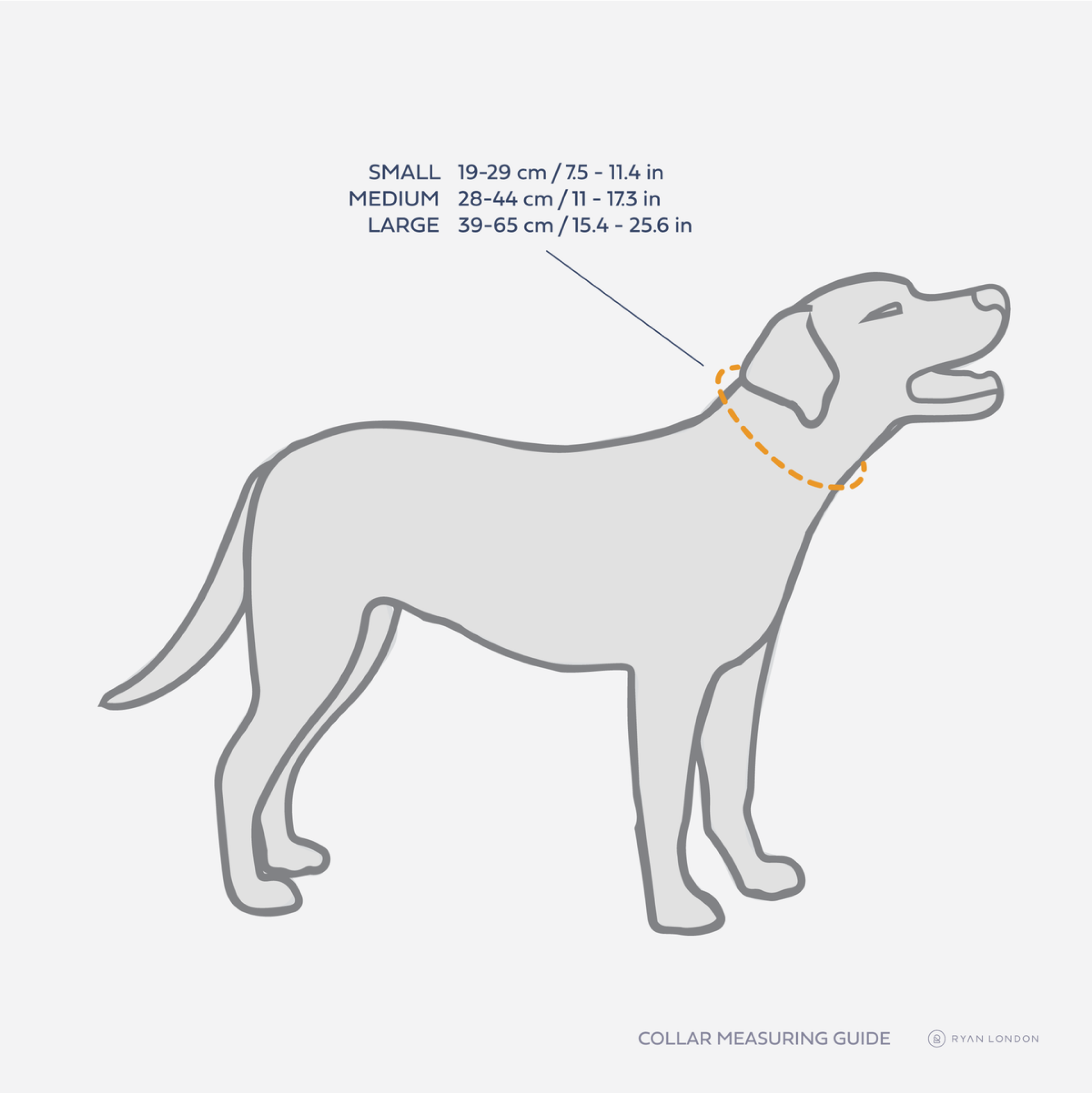 How to measure
your dog?