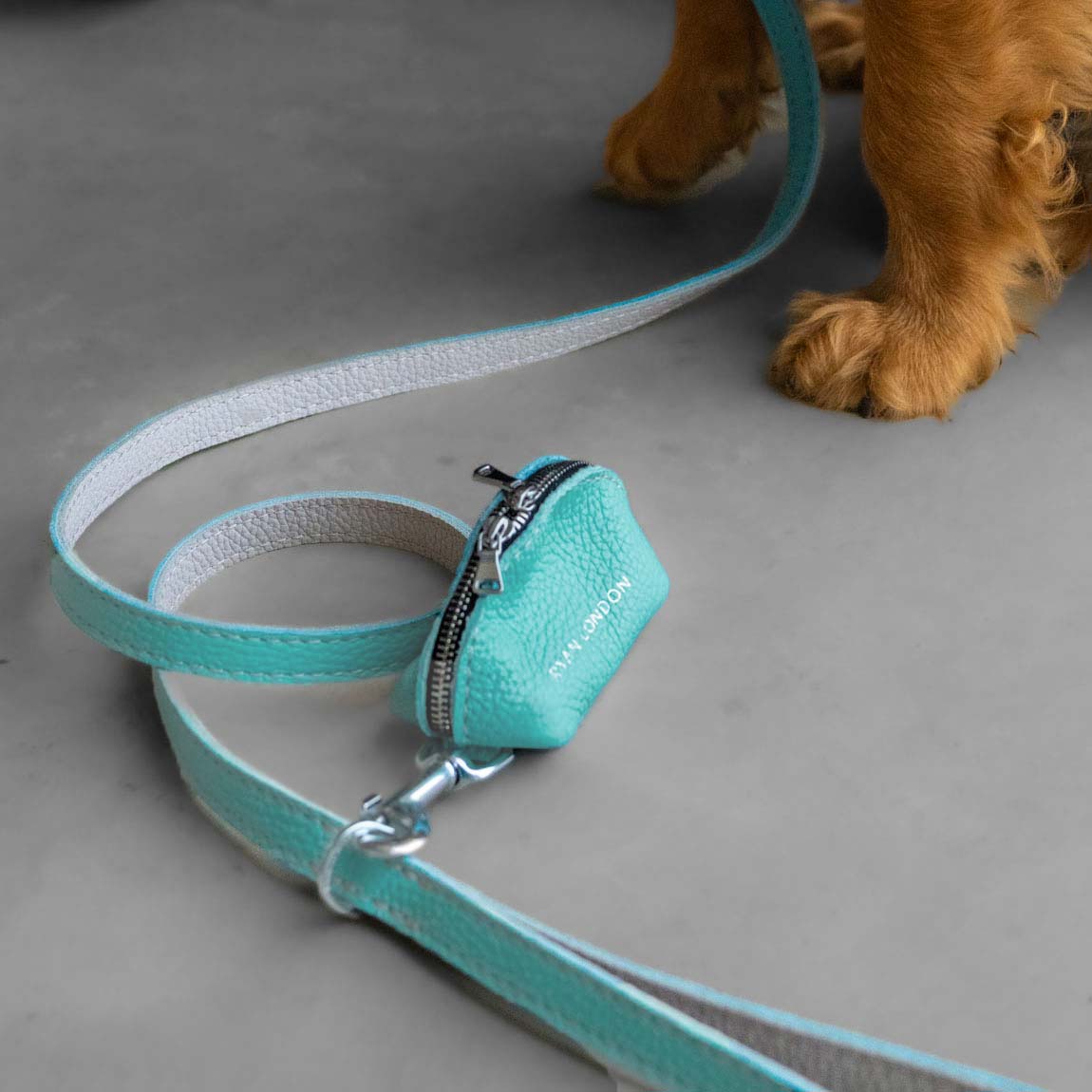 Leather Dog Lead - Light Blue and Off-white