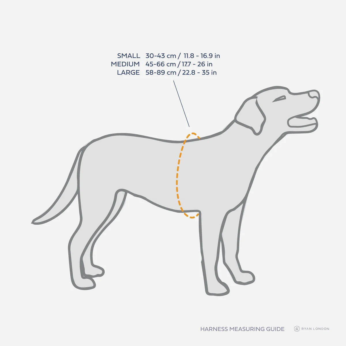 Measuring your dog for a shop harness