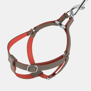 Leather Dog Harness - Grey and Coral