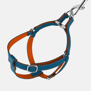 Leather Dog Harness - Blue and Orange