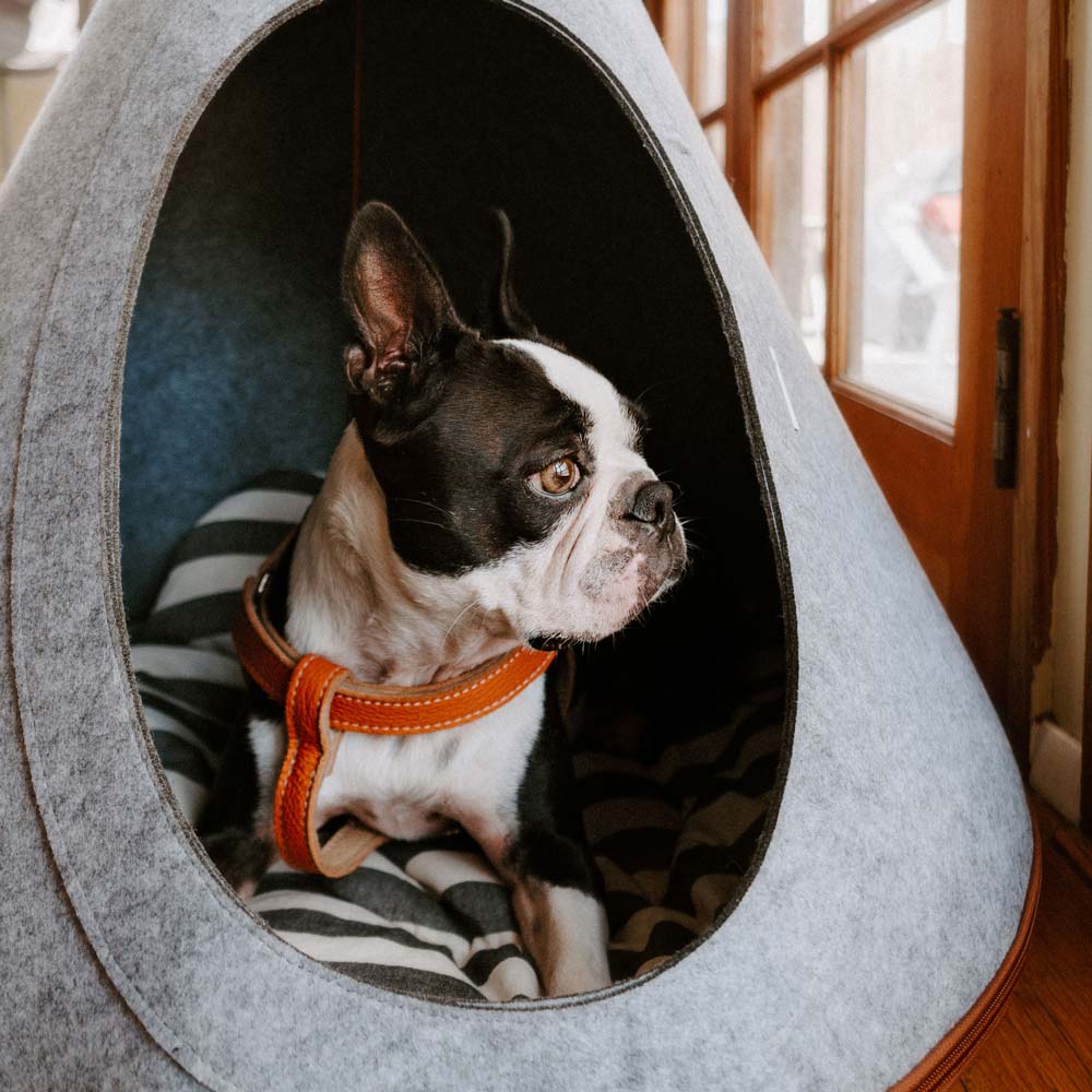 Leather Dog Harness - Orange and Beige - RYAN London