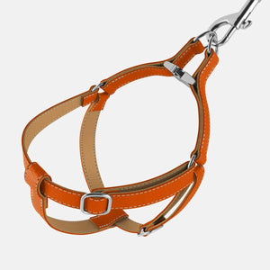 Leather Dog Harness - Pumpkin Orange and Beige