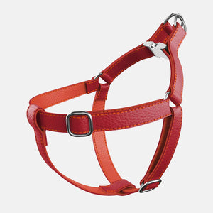 Leather Dog Harness - Red and Coral
