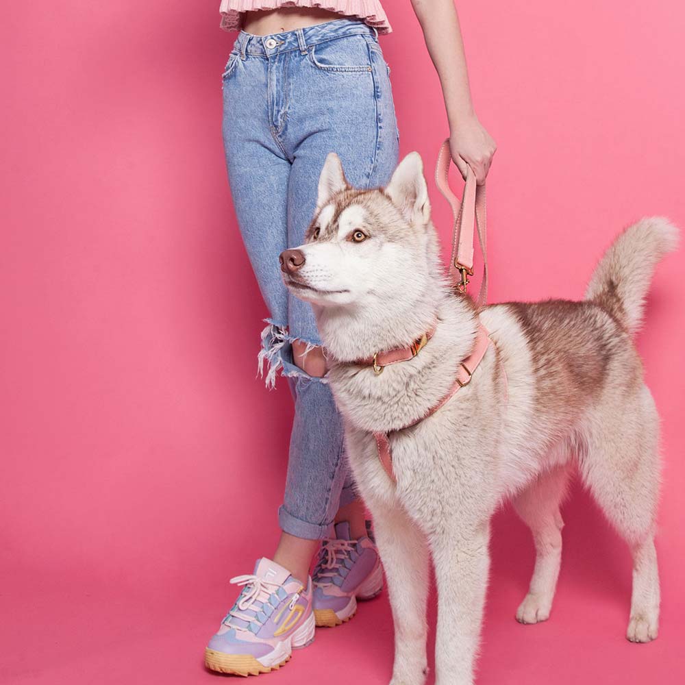 Leather Dog Collar - Pink - RYAN London