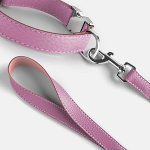 Leather Dog Collar - Purple and Pink