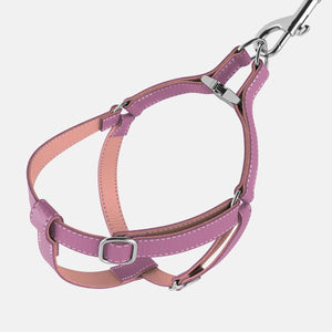 Leather Dog Harness - Purple and Pink