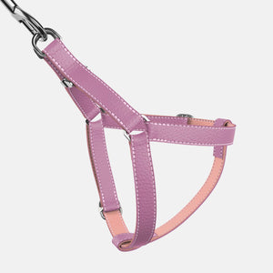 Leather Dog Harness - Purple and Pink