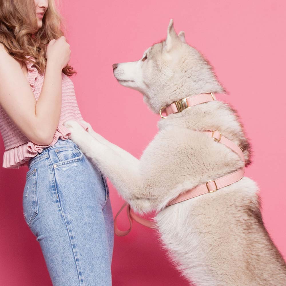 Luxury Leather Dog Lead - Pink –