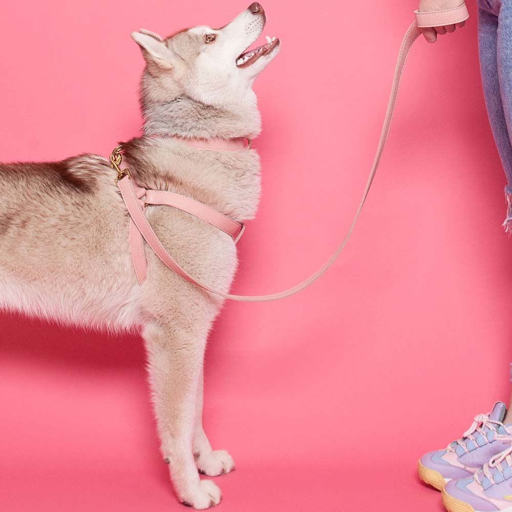 Leather Dog Lead - Pink - RYAN London