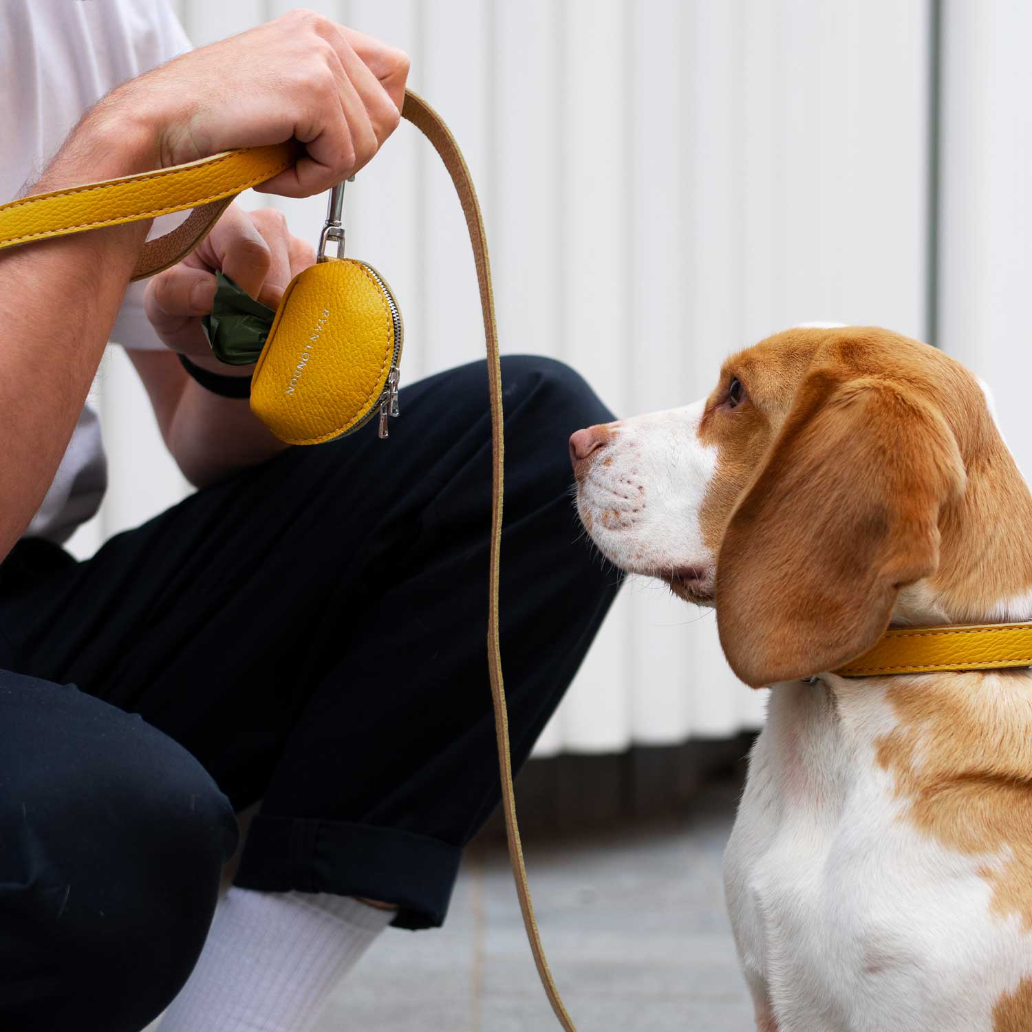 Leather Dog Lead - Yellow and Beige - RYAN London 