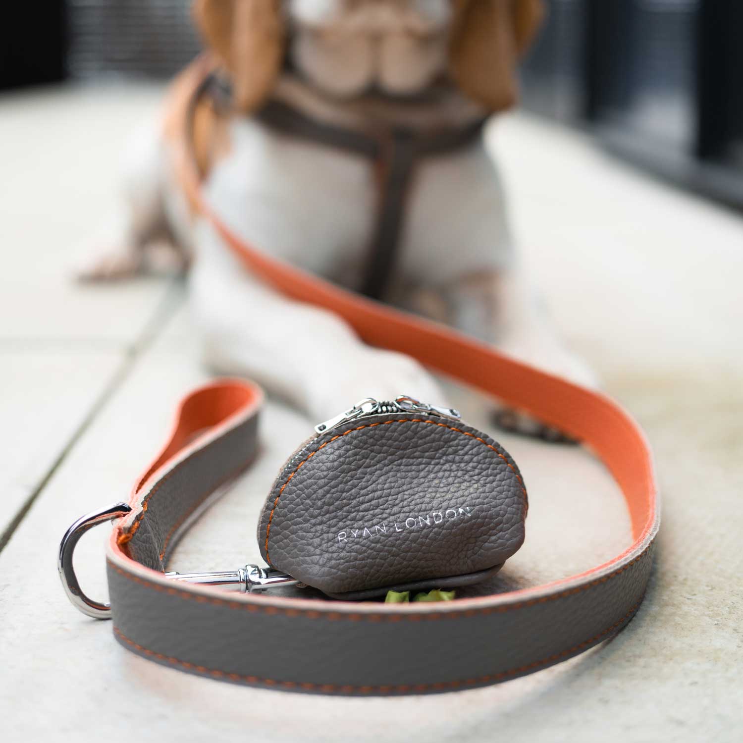 Leather Dog Poop Bag Holder - Grey - RYAN London 
